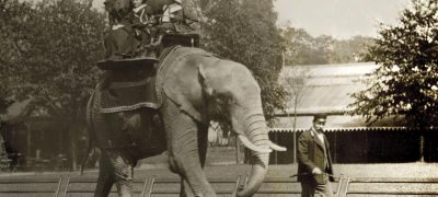 Image of London Zoo 1897