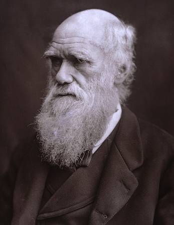 A photographic portrait of Charles Darwin, 1882. He is shown from the chest up, dressed in a waistcoated suit.