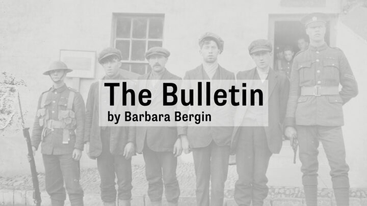 The Bulletin by Barbara Bergin thumbnail
