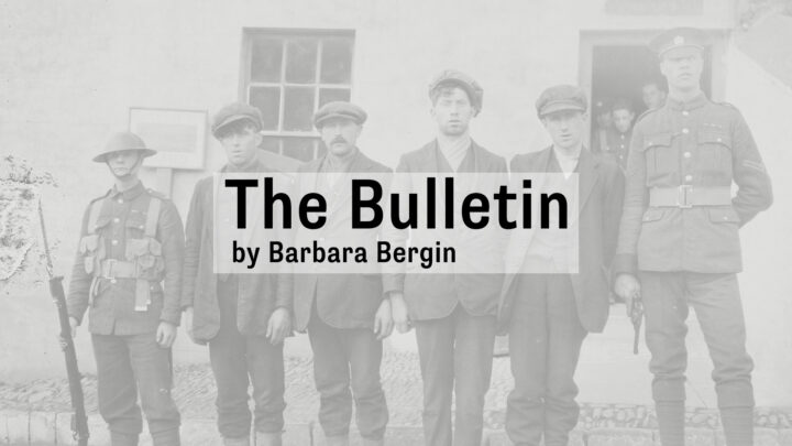 The Bulletin by Barbara Bergin thumbnail