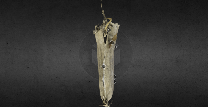 The open left side of the bag, which has been loosely stitched together.
