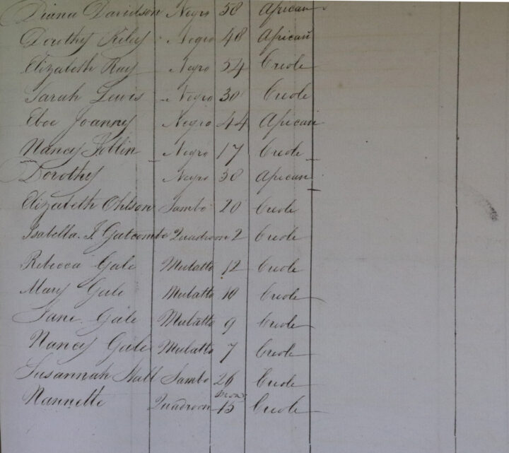 Extracts from the register of enslaved people at Spring Garden Estate