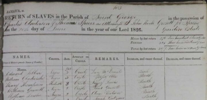 Extracts from the register of enslaved people at Spring Garden Estate