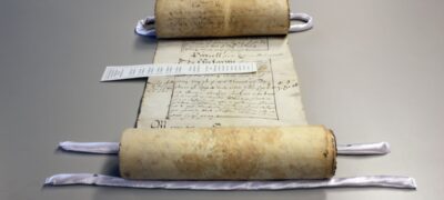A partially unrolled parchment roll on a table. It is supported by three white snake weights to keep it in place.