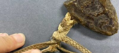 Fingers hold a cord onto which a broken brown seal is attached. The cord is damaged and almost breaking.