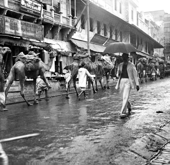 Black and white photograph of a rainy street. People and camels walk along it. A man carrying an umbrella walks in the foreground.