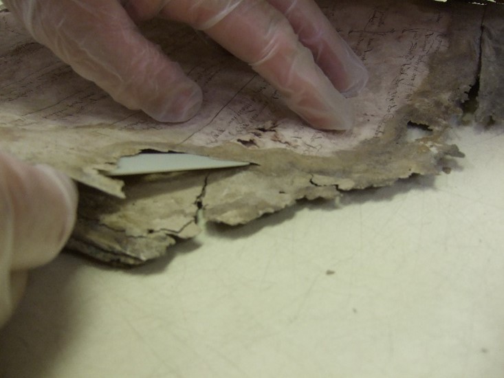 Responding to mould