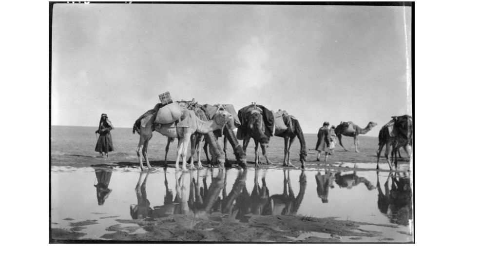 A black and white photograph depicting several people and their camels in a desert, stopping in front of a shallow pool of water.