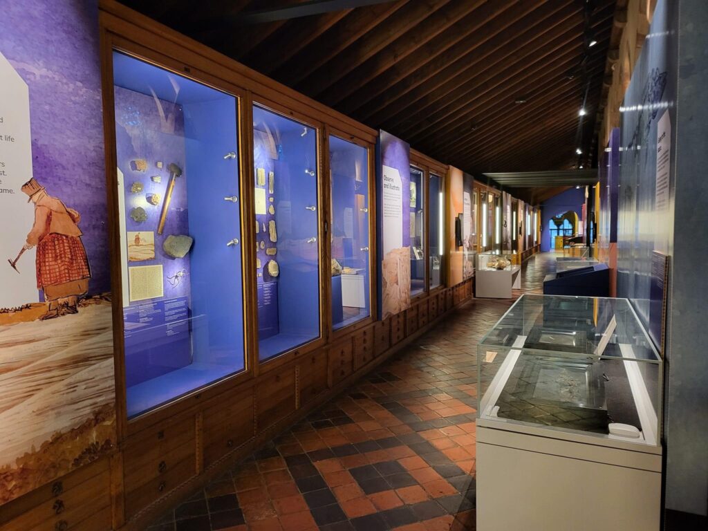 A long corridor of exhibition displays in glass cases.