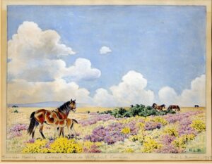 A colourful drawing by Hope L. Bourne of two ponies stood in a meadow of pink, yellow and white flowers.
