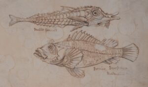 An illustration of two fish on blotchy tanned paper.
