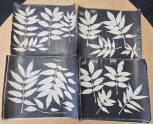 Four black and white photograms of leaves laid out on a table.